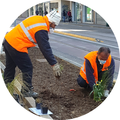 Cooperativa2 Cooperativa2