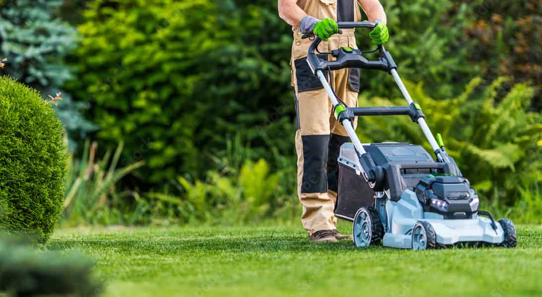 SfalcioErba SfalcioErba