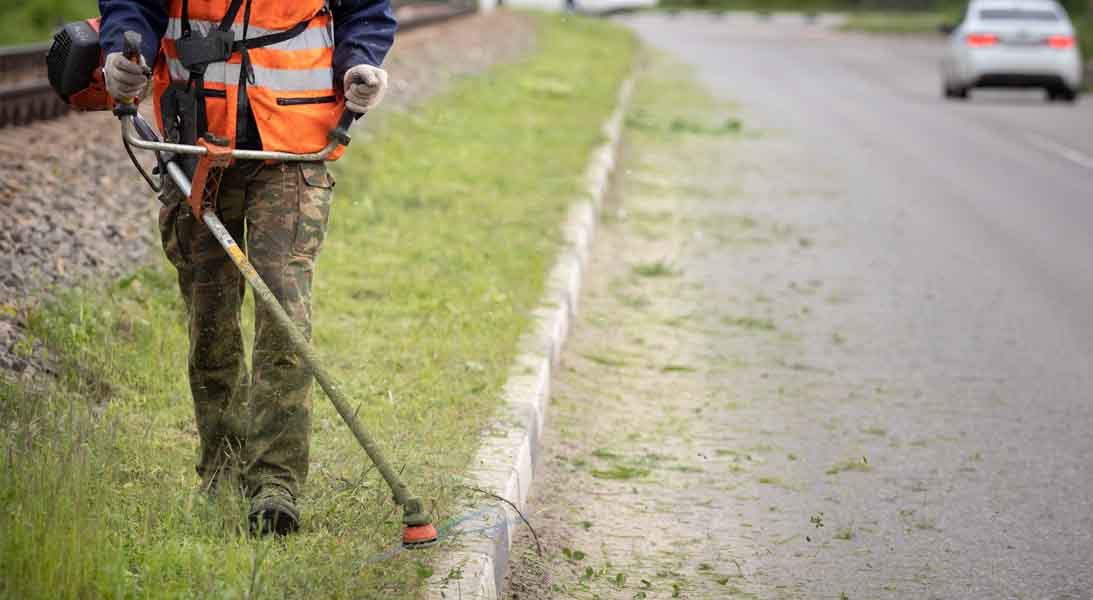 VerdePubblico VerdePubblico